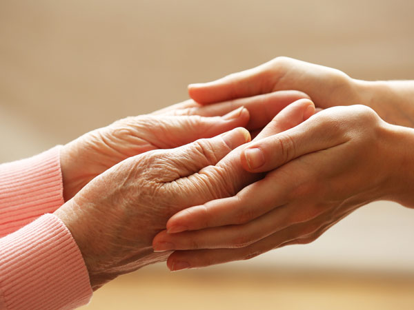 అరచేతిలో దాగున్న అద్భుతం !! 