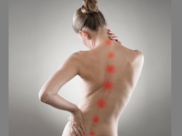 శరీరంలో ఫ్లూయిడ్స్ ను స్థిరంగా ఉంచుతుంది: