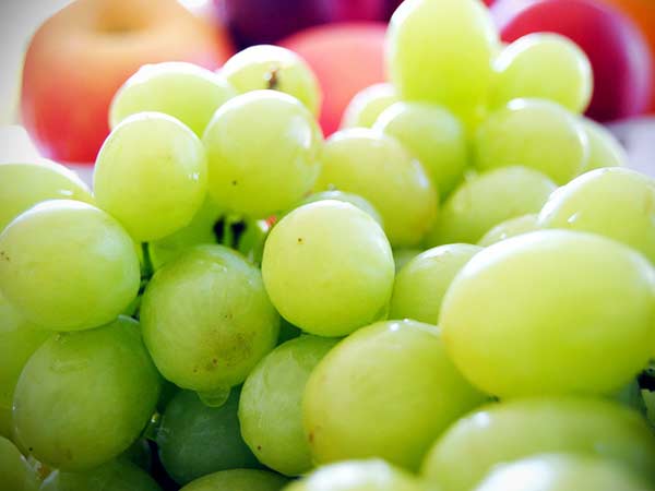 క్యాన్సర్