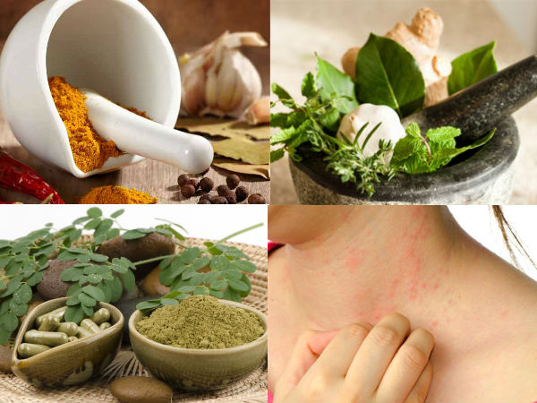 హెర్బ్స్