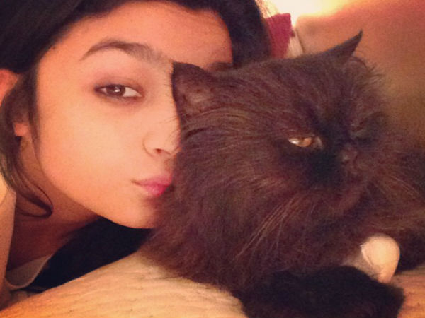 పెట్స్ తో ఆడిన వెంటనే :