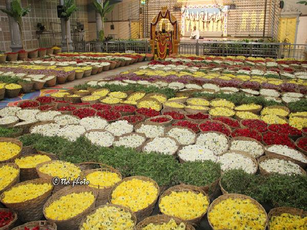 శ్రీవారి గడ్డానికి పచ్చకర్పూరం ఎందుకు పెడుతారు...?