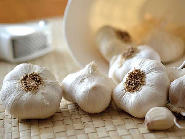 గార్లిక్: