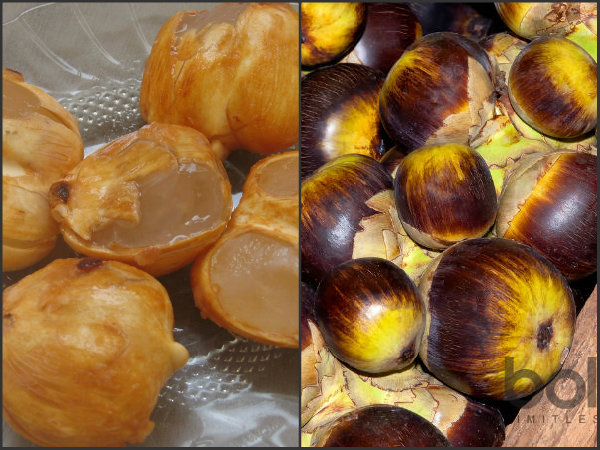 సింపుల్ టిప్స్ తో వేసవిలో ఆరోగ్యం..ఉల్లాసం..