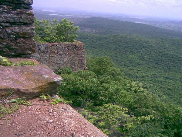 సీతా కొతువ: