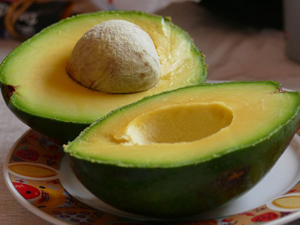 అవకాడో