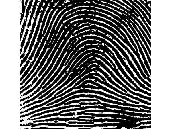 సింపుల్ ఆర్చ్