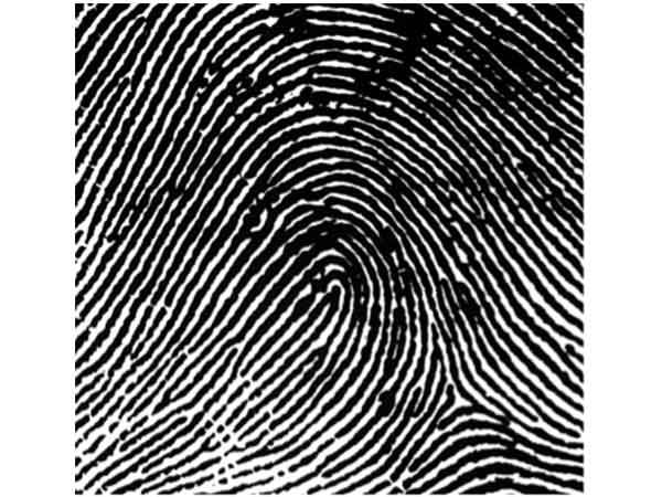 వేరియంట్ ఫింగర్ ప్రింట్స్