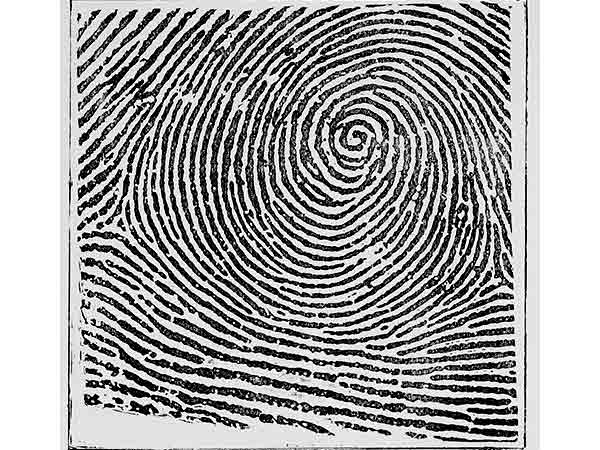  ప్రెస్ వోల్