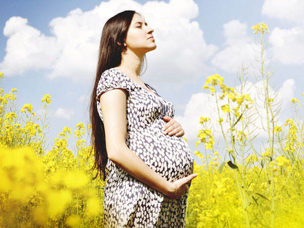 Benefits Of Lemongrass In Pregnancy Benefits Of Lemongrass In Pregnancy