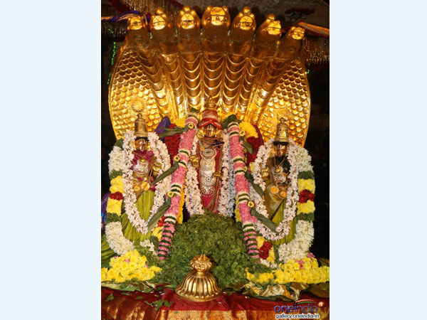 శ్రీనివాసునికి నిత్యం కళ్యాణం అనే మాట ఎందుకు వచ్చింది..?