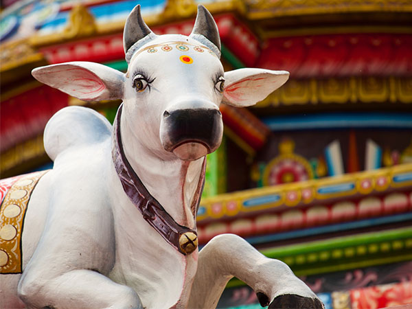 కారణాలు