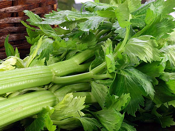 Ayurvedic Remedies For Kidney Stones