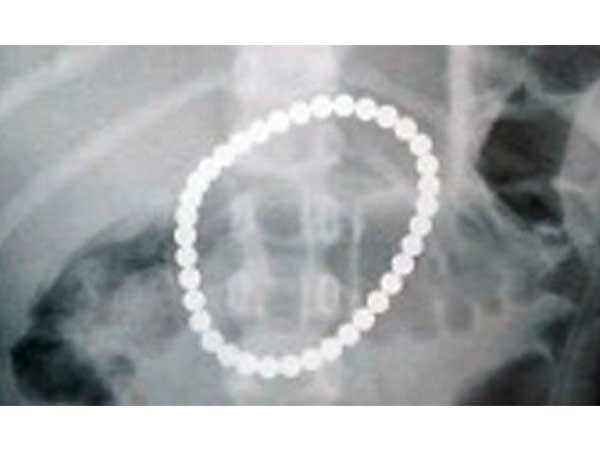 మ్యాగ్నేట్స్