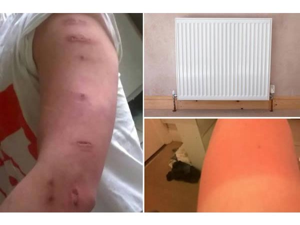 Weirdest Places Where People Have Fallen Asleep