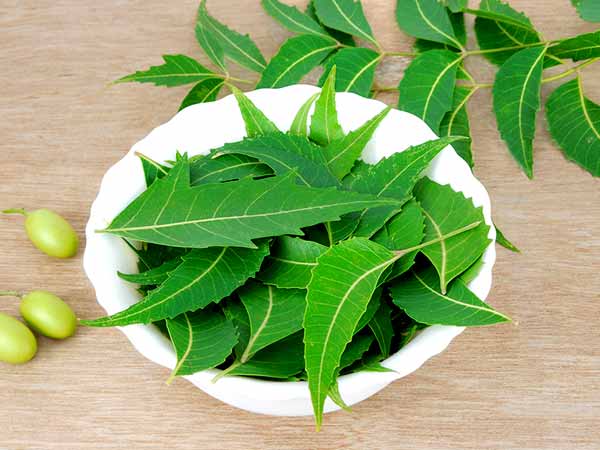 Ayurvedic Remedies For Type 2 Diabetes