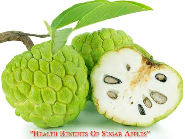 బ్రెస్ట్ మిల్క్ ఉత్పత్తి అవుతుంది