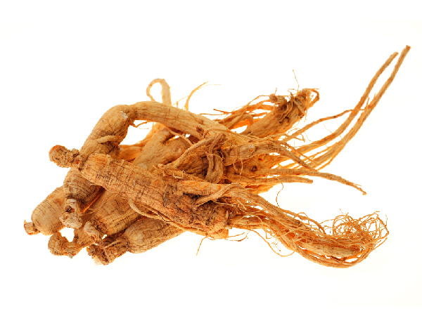 Best Anti Aging Herbs