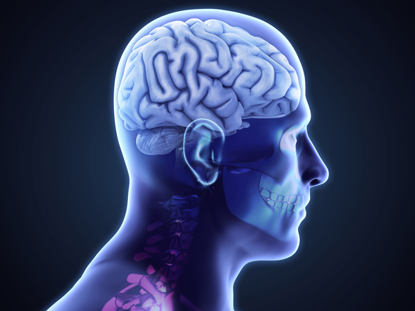 మెదడు పనితీరుకి