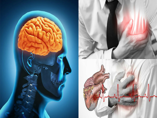 WHO డైరెక్టర్ జనరల్ WHO డైరెక్టర్ జనరల్