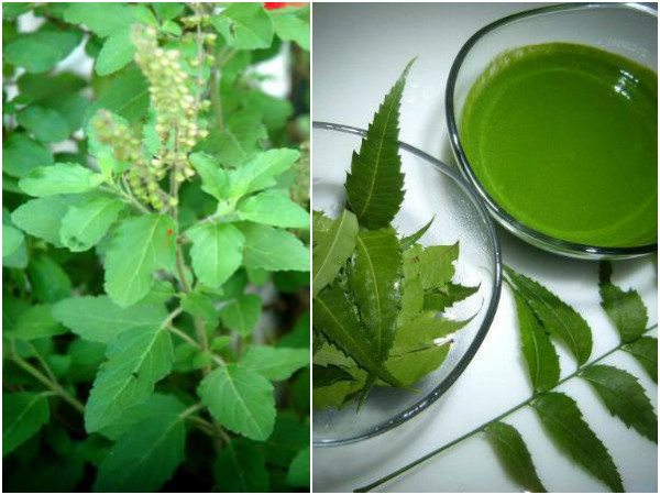 2. మొటిమలతో పోరాడుతుంది: 