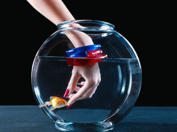 ఆర్థిక సమస్యలకు