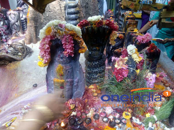 కాలసర్ప దోస నివారణకు పూజ: 