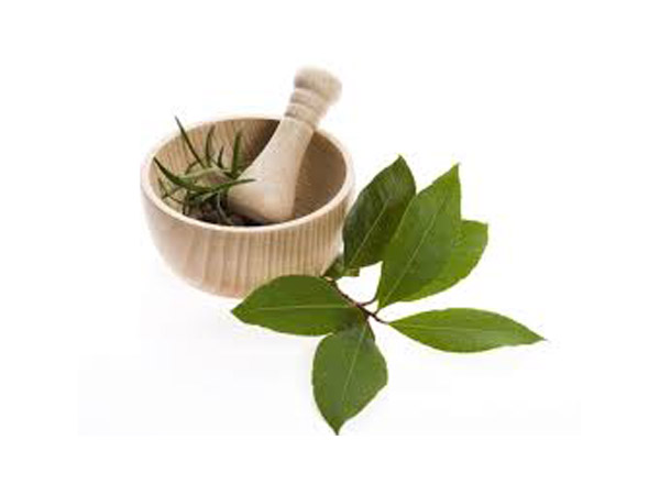 బ్రింగ రాజ్ 