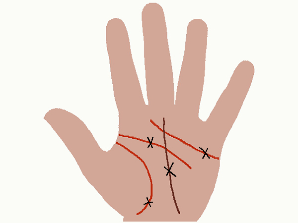 క్రాసెస్