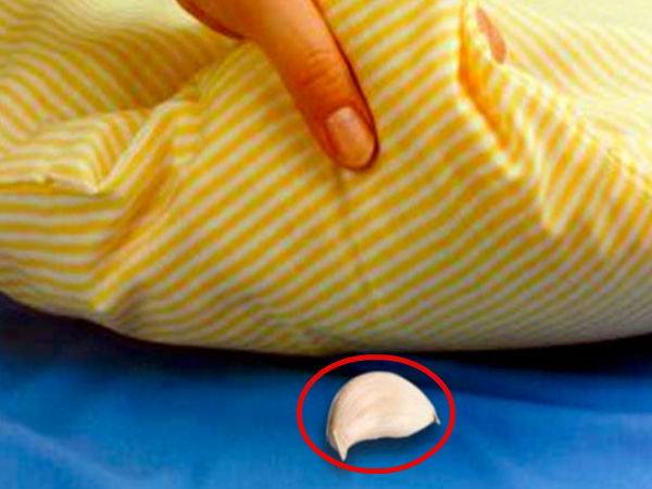 వెల్లుల్లి