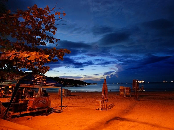 పోర్న్ కంపెనీ