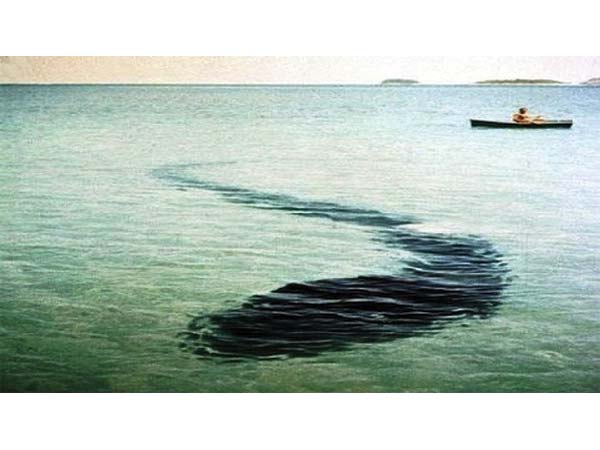 the-dream-of-the-sea-of-chaos,