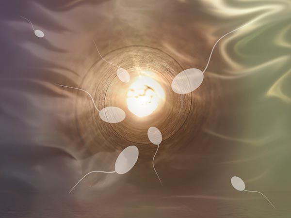 Tips To Remember Before You Donate Your Sperm