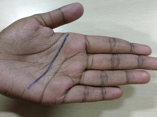 హెడ్ లైన్