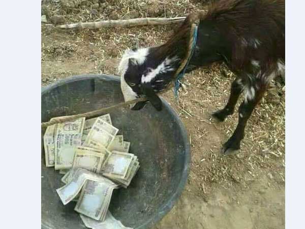 విలువలేనివిగా