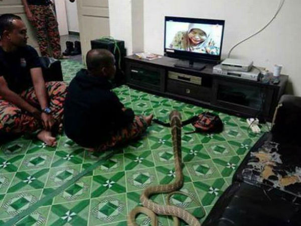 వార్నింగ్