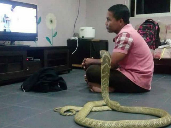 ఫ్రెండ్ ద్వారా