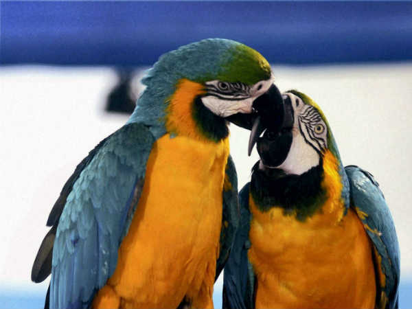  కొత్త కొత్త స్నేహాలను ఏర్పరచుకోగలరు.