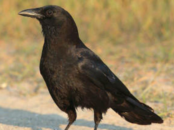 ద్రవ్యలాభం