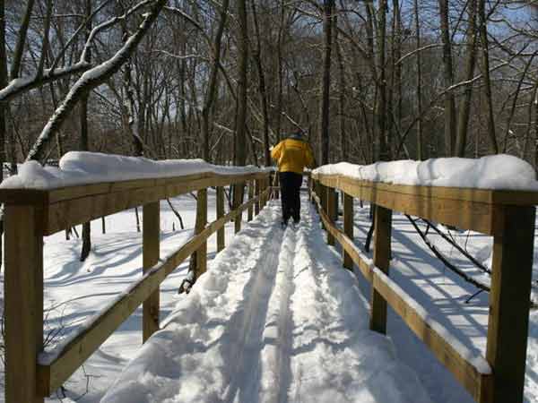 కొన్ని సందర్భాల్లో ఎదురుచూసిన సహాయము అందదు.