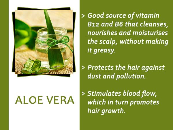 అలోవెరా జెల్, టీట్రీ ఆయిల్