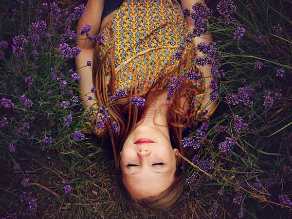 ల్యావెండర్: 