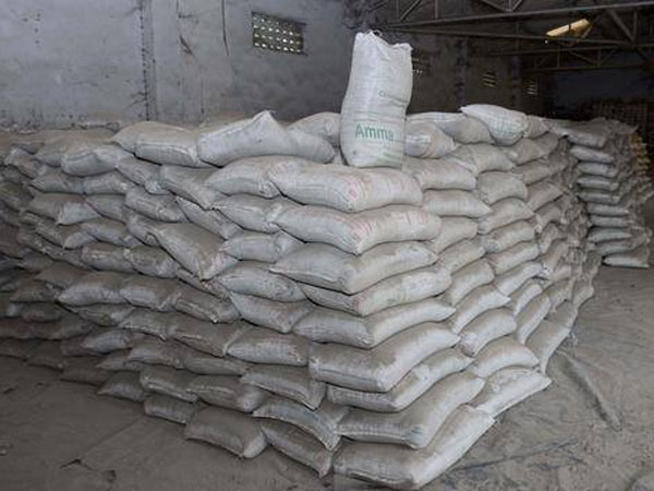 Simple Things Required To Make The Christmas Tree