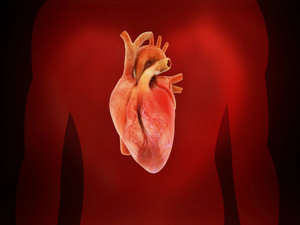 .కార్డియో వ్యాస్కులర్ సమస్యల నుండి రక్షణ కల్పిస్తుంది : 