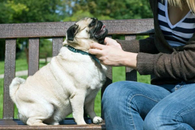 దురదృష్టాన్ని వెంటాడే విషయాలు : 3