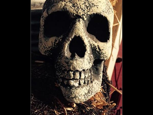 7 సంవత్సరాల తరువాత, ప్రజలు అతని మృతదేహాన్ని కనుగొన్నారు....