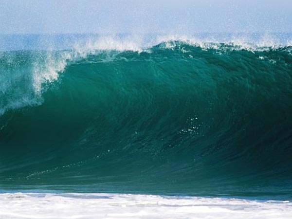 కర్కాటకము కర్కాటకము