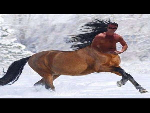 పిక్చర్ # 7