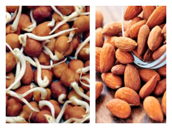 బాదంపప్పును ఆహారంలో ఎందుకు చేర్చుకోవాలి?