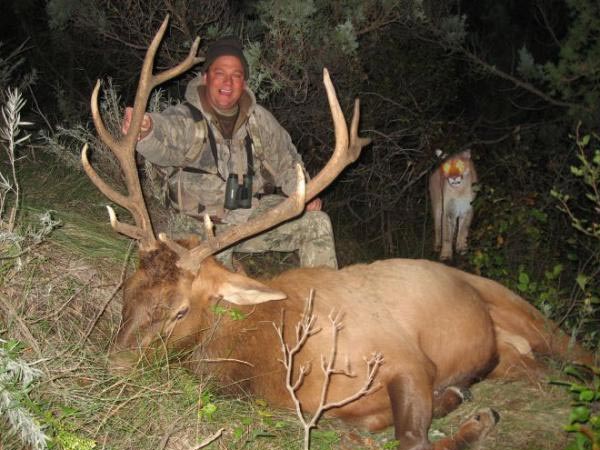 చిత్రం #5